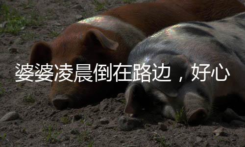 婆婆凌晨倒在路邊，好心人報(bào)警后民警“點(diǎn)亮”回家路