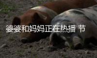 婆婆和媽媽正在熱播 節(jié)目中婆媳相處的方式成了觀眾津津樂道的話題
