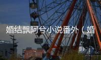婚結飄阿兮小說番外（婚結(作廢版)飄阿兮）