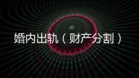 婚內出軌（財產分割）