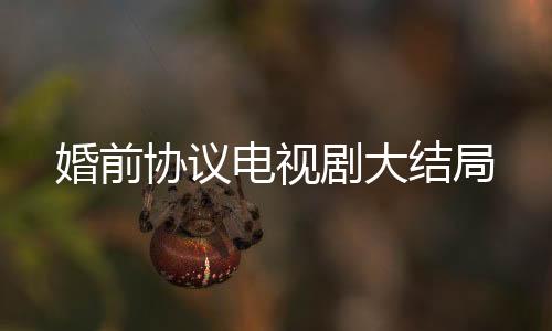 婚前協議電視劇大結局
