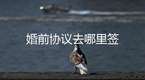婚前協議去哪里簽