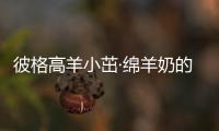 彼格高羊小茁·綿羊奶的營養優勢與中醫滋養價值