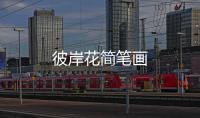 彼岸花簡筆畫