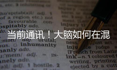 當前通訊！大腦如何在混亂中作出決定？原理類似于數(shù)據(jù)壓縮技術