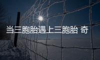 當三胞胎遇上三胞胎 奇妙緣分引發熱議