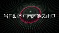 當(dāng)日動態(tài)廣西河池鳳山縣民族中學(xué)校服包括廣西河池鳳山縣民族的詳細(xì)情況