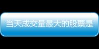 當天成交量最大的股票是什么？