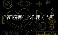 當歸粉有什么作用（當歸粉的功效與作用及禁忌）