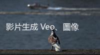 影片生成 Veo、圖像生成 Imagen 3 雙模型，登陸 Vertex AI 平臺