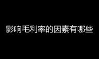 影響毛利率的因素有哪些a行業周期（影響毛利水平的因素有哪些）