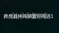 彝良縣鐘鳴鎮管好用活139個網格，確保疫情防控不漏一人