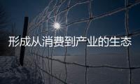 形成從消費到產業的生態協同