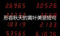 形容秋天的黃葉美景短句唯美，形容秋天的黃葉美景短句