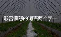 形容憤怒的詞語兩個(gè)字一年級(jí)（形容憤怒的詞語兩個(gè)字）