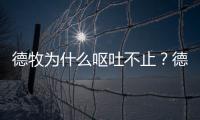 德牧為什么嘔吐不止？德牧嘔吐是怎么回事