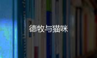 德牧與貓咪