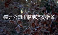 德力公司申報(bào)兩項(xiàng)安徽省地方標(biāo)準(zhǔn)獲批準(zhǔn)發(fā)布,企業(yè)新聞