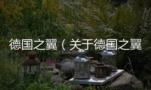 德國之翼（關于德國之翼的基本情況說明介紹）