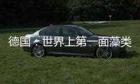 德國：世界上第一面藻類生物反應墻即將建成（組圖）