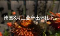 德國8月工業(yè)產(chǎn)出環(huán)比下降0.2%