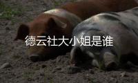 德云社大小姐是誰