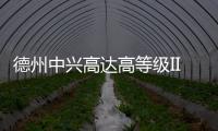 德州中興高達高等級IIC防爆數字對講機 PH910Ex