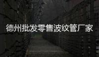 德州批發(fā)零售波紋管廠家批發(fā)