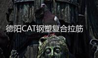 德陽CAT鋼塑復(fù)合拉筋帶規(guī)格齊全