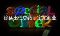 徐猛出任總裁，寶龍商業迎來新舵手