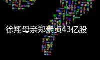 徐翔母親鄭素貞43億股票凍結兩年