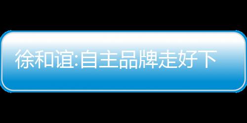 徐和誼:自主品牌走好下一步要眼疾手快