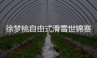 徐夢桃自由式滑雪世錦賽奪銀 七戰(zhàn)全登領(lǐng)獎臺