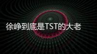 徐崢到底是TST的大老板，還是代言人？