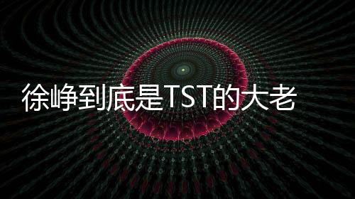 徐崢到底是TST的大老板，還是代言人？