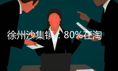 徐州沙集鎮(zhèn)：80%在淘寶網(wǎng)上擺攤，最多模仿宜家-