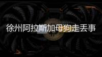 徐州阿拉斯加母狗走丟事件(阿拉斯加走失會(huì)回家嗎)