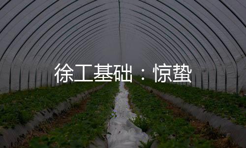 徐工基礎:驚蟄