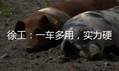 徐工：一車多用，實力硬核！無塵爆破就選TA！