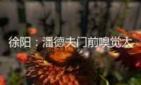 徐陽：潘德夫門前嗅覺太機敏 烏克蘭的防守是軟肋