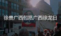 徐貴廣西包括廣西徐龍日的詳細情況