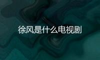 徐風是什么電視劇