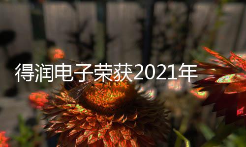 得潤(rùn)電子榮獲2021年度汽車電子科學(xué)技術(shù)獎(jiǎng)?lì)I(lǐng)軍企業(yè)獎(jiǎng)
