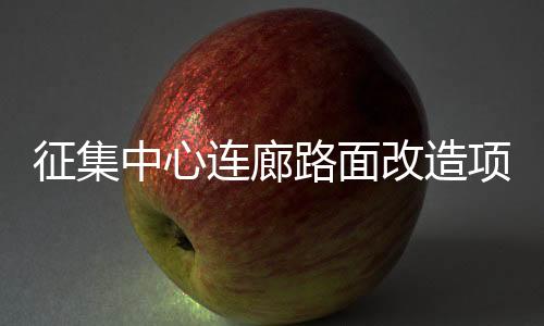 征集中心連廊路面改造項目施工單位的公告