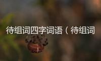 待組詞四字詞語（待組詞）