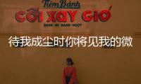待我成塵時(shí)你將見我的微笑魯迅什么意思（待我成塵時(shí)你將見我的微笑）