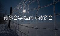 待多音字,組詞（待多音字組詞）