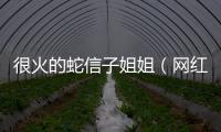 很火的蛇信子姐姐（網紅蛇信子）