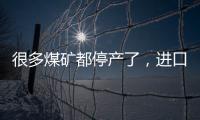 很多煤礦都停產了，進口煤減量了，煤價會不會反彈