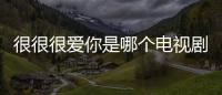 很很很愛你是哪個(gè)電視劇主題曲（很很很愛你）